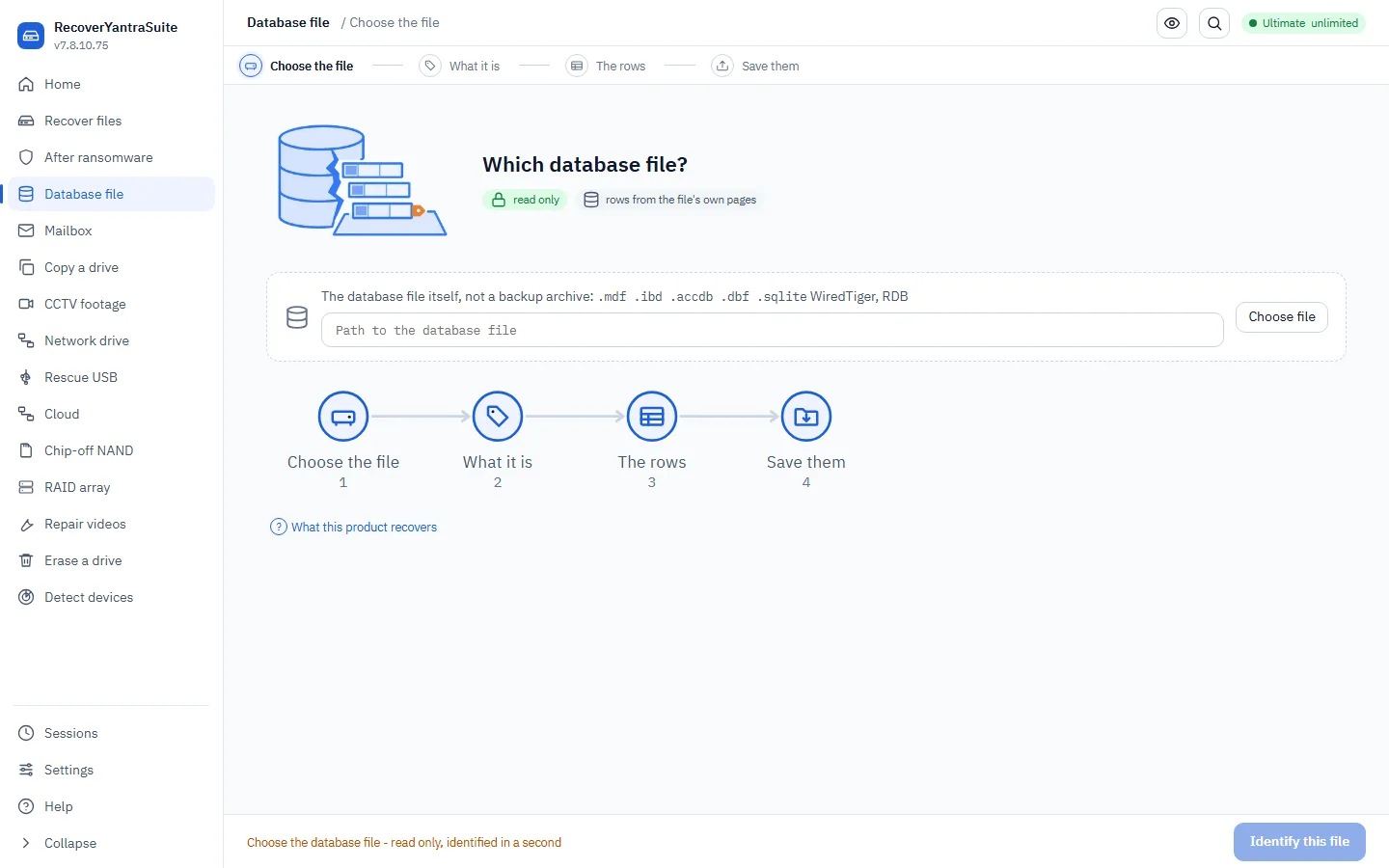 The database workspace: point at the file itself; it is only ever read.